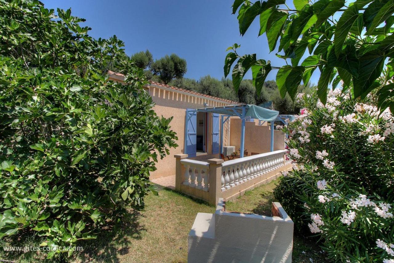 L'Amandier -Le Figuier-Les Lauriers Roses Ajaccio (Corsica) Exterior foto