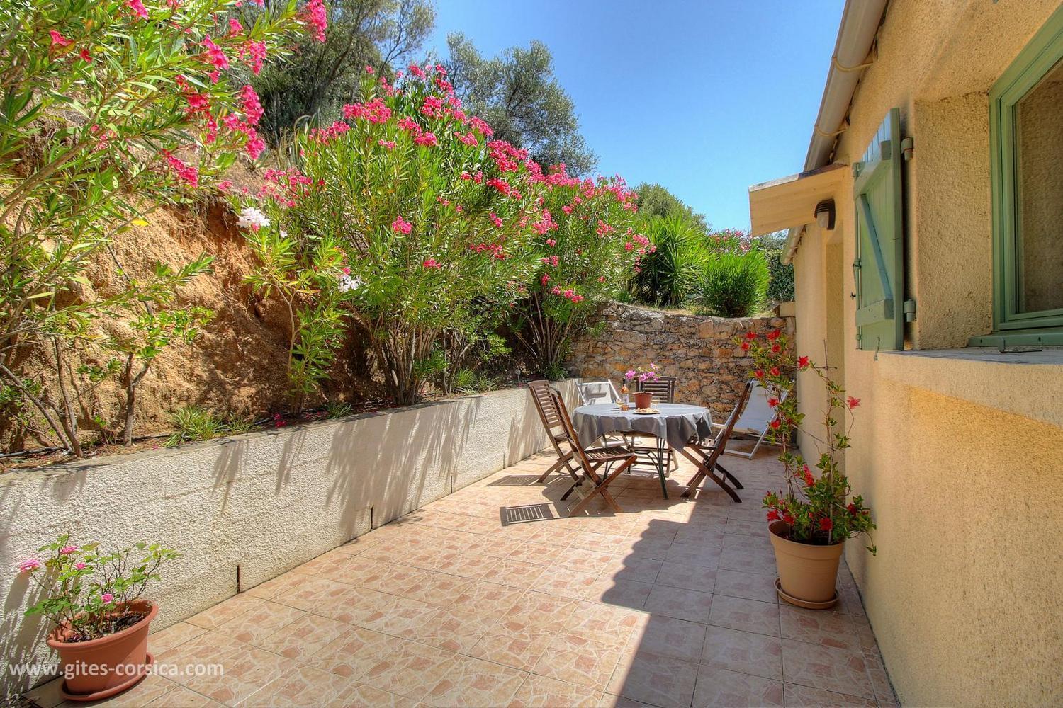 L'Amandier -Le Figuier-Les Lauriers Roses Ajaccio (Corsica) Exterior foto