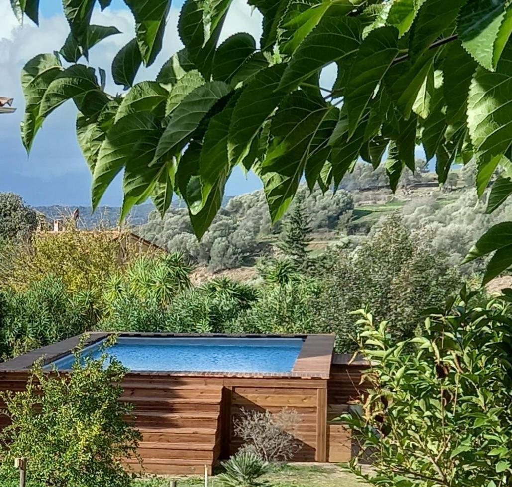 L'Amandier -Le Figuier-Les Lauriers Roses Ajaccio (Corsica) Exterior foto